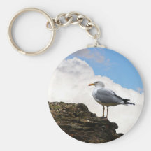 Seagull on a Brick-Wall in Rome Key Chain