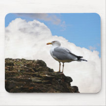 Seagull on a Brick-Wall in Rome Mouse Pads