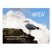 Seagull on a Brick-Wall in Rome Postcard