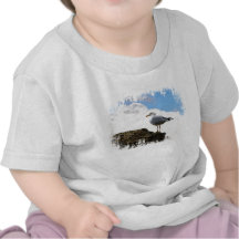 Seagull on a Brick-Wall in Rome T-shirt