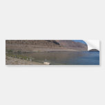 SeaGull on a Log by Walker Lake Bumper Sticker