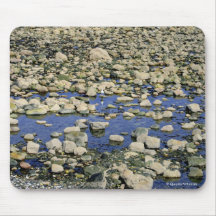 Seagull On Beach - Rhos-on-Sea: Mousepad