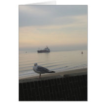 Seagull on brick wall resting and cargo ship card