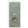 Seagull on rock customized rack card