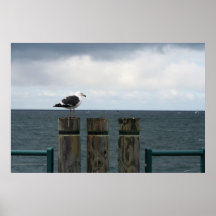 Seagull on the Pier Print