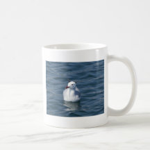 Seagull on the water coffee mugs