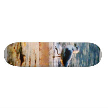 Seagull on Virginia Beach at Dawn Skateboard Decks