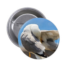Seagull Pins