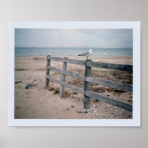 Seagull Poster
