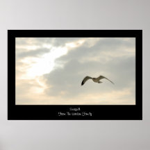 Seagull Poster