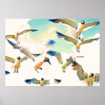 Seagull Poster