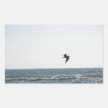 Seagull Rectangle Stickers
