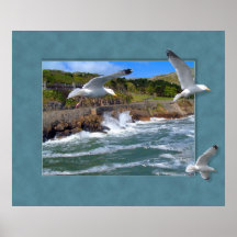 Seagull Scape Posters