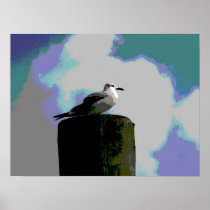 Seagull sitting on a dock posterized photograph