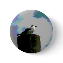 Seagull sitting on a dock posterized photograph