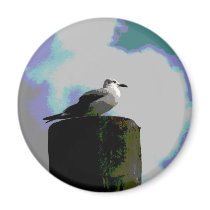 Seagull sitting on a dock posterized photograph