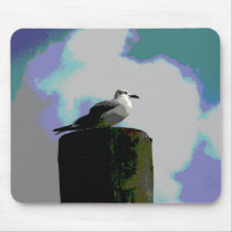 Seagull sitting on a dock posterized photograph