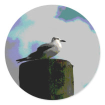Seagull sitting on a dock posterized photograph