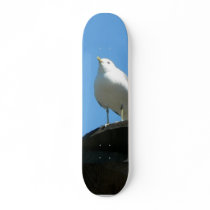 Seagull Standing On Dock Custom Skateboard