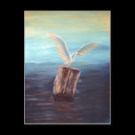 Seagull: www.AriesArtist.com postcards