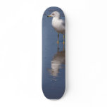 Seagulls At Ocean Beach In San Diego Skateboard Deck