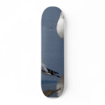 Seagulls At The Ocean Near Ocean Beach In San Dieg Skateboard