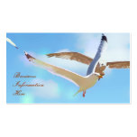 Seagulls in Flight Business Cards