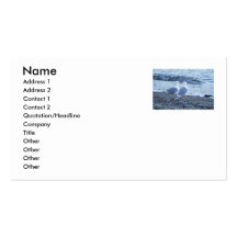 Seagulls Kissing on the Beach Photo Business Card Templates