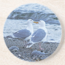 Seagulls Kissing on the Beach Photo Coasters