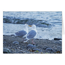 Seagulls Kissing on the Beach Photo Greeting Card