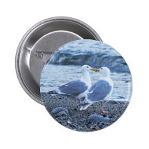 Seagulls Kissing on the Beach Photo Pins