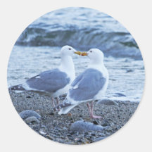Seagulls Kissing on the Beach Photo Sticker