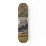 Seagulls On Oceans Beach Skateboard Deck
