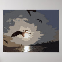 seagulls poster