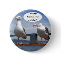 seagulls talking