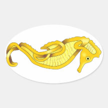 Seahorse Sticker