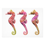 Seahorse Trio in Reds Custom Announcements