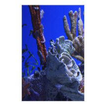 Seahorses Customized Stationery