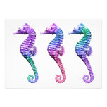 Seahorses in Blue Purple and Green Announcement