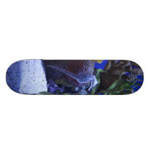 Seahorses Skateboard Decks