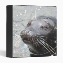 Seal  Binder