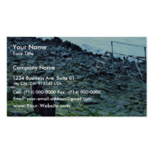 Seal Fur Business Card Template