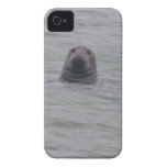 Seal iPhone 4 case iPhone 4 Covers
