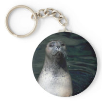 Seal keychains