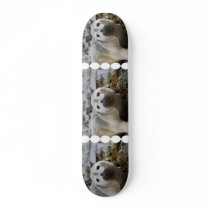 Seal Pup Skateboard