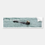 Seals In Monterey Bumper Sticker