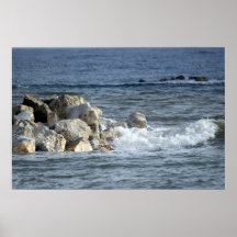 seamalaga print