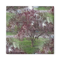 Seamless Sandcherry Photo Refrigerator Magnet