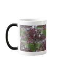 Seamless Sandcherry Photo Coffee Mugs