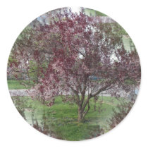 Seamless Sandcherry Photo Round Sticker